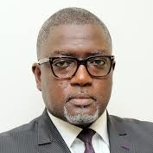 Papa Demba Diallo (CEO of FONSIS)