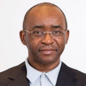 Strive Masiyiwa (African Union Special Envoy and  Founder and Executive Chairman)