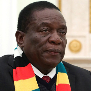 H.E. Emmerson Mnangagwa (President, Republic of Zimbabwe)